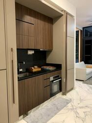Van Holland (D10), Condominium #472899211